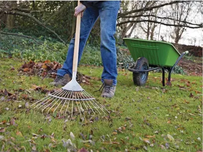  ?? ?? Raking up leaves is great exercise and will warm you up – it’ll help to keep your grass in good condition, too