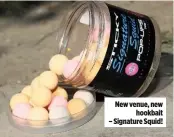  ??  ?? New venue, new hookbait – Signature Squid!