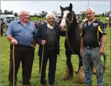  ?? Photo by Michelle Cooper Galvin. ?? Paddy Cronin (left) with Paddy and Padraig Cournane, Cahersivee­n at The Puck Fair Horse Fair on Thursday.