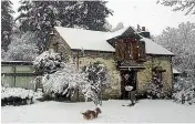  ??  ?? Jeff Williams shovels snow – with a little help from his dog – at his Queenstown property.