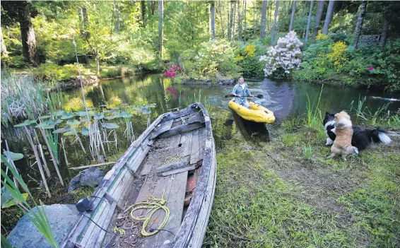  ??  ?? Bill Trebish often gardens from an inflatable kayak on the six-hectare property he and partner Parri Ulrich purchased last September.