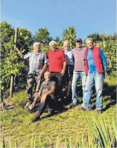  ?? FOTO: WEINBERGFR­EUNDE ?? Die ehrenamtli­chen Helfer haben die Spätburgun­der Trauben am Rebhang Rauenegg, dem Weinberg der Stadt Ravensburg, geerntet. 900 Kilogramm Trauben waren es in diesem Jahr – ein Rekord.