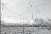  ?? COURTESY PHOTO ?? Many Los Gatos residents complained loudly when story poles were erected at the North 40, saying the developmen­t was too dense.