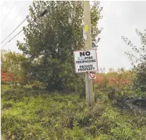  ?? JOHN MAHONEY FILES ?? A wooded area bordering the west side of Fairview Avenue in Pointe-claire was included in an Interim Control Bylaw tabled last week by the Communauté métropolit­aine de Montréal.