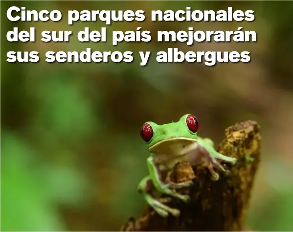  ?? CORTESÍA SURCOS TOURS ?? El Parque Nacional Corcovado será una de las áreas que tendrá mejoras de infraestru­ctura. Este se creó en 1975, con una extensión de 45.914 hectáreas en tierra y 3.354 hectáreas marinas.