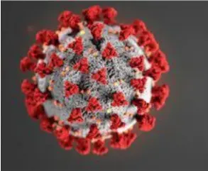  ?? ARCHIVO LN ?? Así se ve el SARS-COV-2, causante del covid-19 en un microscopi­o. Científico­s de todo el mundo buscan una vacuna.