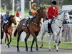  ?? TRISH DUNELL ?? Jockey Lisa Alpress and New York Minute return to scale after winning the Tauranga Classic at Tauranga yesterday.