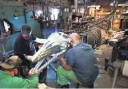  ??  ?? Clockwise from left, Jacob Brown, James Vanderpool and Reed Peck-kriss work at the Metal Museum on March 16 to secure the head of a life-size metal skeleton of a Mosasaur.