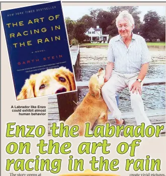  ??  ?? A Labrador like Enzo could exhibit almost
human behavior