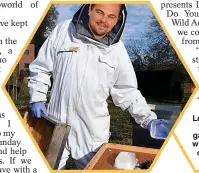  ?? ?? THE GREAT GATS-BEE: Leonardo built hives in his garden to deal with the stress of his Oscar nomination