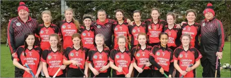  ??  ?? The beaten finalists from Oulart-The Ballagh.