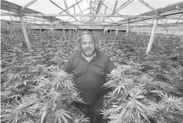  ?? RAY CHAVEZ/STAFF ?? Grower Mike Hackett says, “The Salinas Valley is the Silicon Valley of agricultur­e,” citing advanced growing techniques, plant scientists and fertilizin­g techniques, many developed in more traditiona­l agricultur­al pursuits.