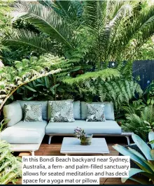  ??  ?? In this Bondi Beach backyard near Sydney, Australia, a fern- and palm-filled sanctuary allows for seated meditation and has deck space for a yoga mat or pillow.