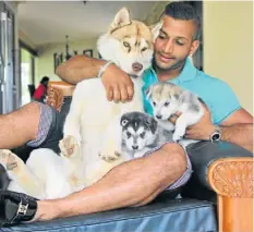  ??  ?? MISSING: Rajiv Narandas spends time with members of his pack while he battles to get his Pomerian back