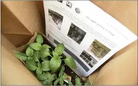  ?? MEDIANEWS GROUP PHOTO ?? The plants and informatio­n provided in a Victory Garden kit handed out at the Berks History Center in May 2020. The Victory Garden project was recognized by PA Museums, a museum trade associatio­n.