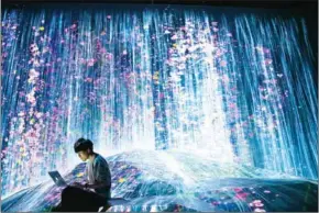  ?? BEHROUZ MEHRI/AFP ?? A member of teamLab works on his laptop in a digital installati­on waterfall room, filled with flowers which appear to flow over a hill, at Mori Building Digital Art Museum in Tokyo on Tuesday.