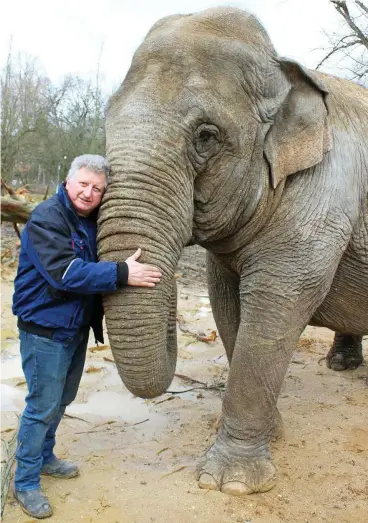  ?? FOTO: KATJA GRIESER ?? Hardy Weisheit schmust mit Elefanten-Dame Gandhi. Er eröffnet mit seiner Familie ein Elefanten-Reservat und einen Erlebnispa­rk in Kostitz.