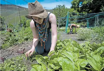  ?? LALO R. VILLAR THE ASSOCIATED PRESS FILE PHOTO ?? Alexis Gerber of San Francisco weeds a garden at Centro Ammehula, an organic farm, in Santa Eulalia del Monte, Spain. Geoff Lawson says many adventurou­s young people combine work and travel in their gap year.