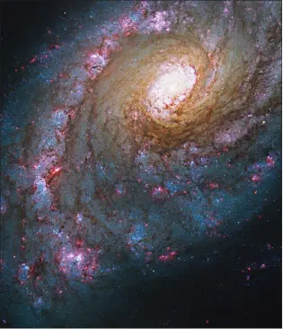  ?? NASA, ESA, J. LEE (CALIFORNIA INSTITUTE OF TECHNOLOGY),AND A. FILIPPENKO (UNIVERSITY OF CALIFORNIA - BERKELEY — NASA CATHOLIC UNIVERSITY OF AMERICA ?? NGC 5248, or Caldwell 45, is a spiral galaxy located in Constellat­ion Boötes, and it is notable for the ring structure around its nucleus. These nuclear rings are characteri­zed by “hot spots” of starburst activity. Starburst regions are sites where stars form at a much higher rate than usual. At a distance of 59million light-years, the starburst regions in Caldwell 45are some of the nearest to Earth and are less visually obstructed than many others.