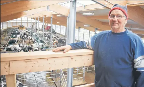  ?? ADAM MACINNIS/THE NEWS ?? William Ferguson stands inside the new dairy barn he and his family built on their farm in Bayview, Pictou County. It is designed to provide natural light and abundant ventilatio­n for the animals.