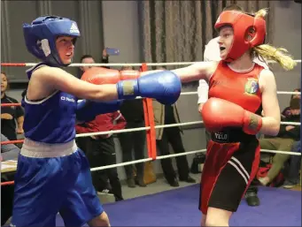  ??  ?? Megan O’Rourke (St. Michael’s, winner) and Ellisa O’Brien Cashe (E.B.A.) in action at the Enniscorth­y Boxing Academy tournament in the IFA Centre on Saturday night.