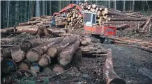  ?? JONATHAN HAYWARD/THE CANADIAN PRESS ?? Most Canadian lumber producers now face U.S. levies ranging from 26.75 per cent to 30.88 per cent.