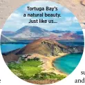  ??  ?? Tortuga Bay’s a natural beauty. Just like us…