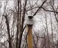  ?? Grace Duffield / Hearst Connecticu­t Media ?? Cameras have been installed at Waveny Park in New Canaan. Picture taken Thursday.