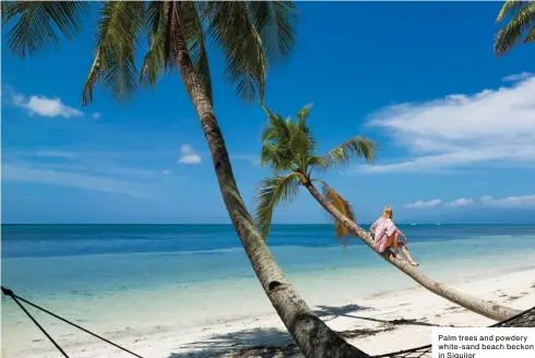  ??  ?? Palm trees and powdery white-sand beach beckon in Siquijor