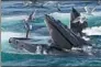  ?? J. SCOTT APPLEWHITE / AP ?? Humpback whales feed near Provinceto­wn, Massachuse­tts.