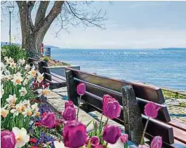  ?? Foto: DJD/Echt Bodensee ?? Farbenpräc­htig präsentier­en sich im Frühling die Ufer des Bodensees und laden zum Verweilen ein.