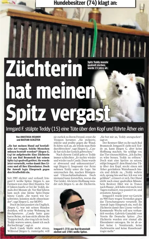  ??  ?? Spitz Teddy musste qualvoll sterben, wurde 15 Jahre alt. Irmgard F. (73) aus Bad Bramstedt züchtet seit 1985 weiße Spitze.