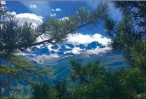  ??  ?? Pines frame the postcard-perfect view from the Mount Muragl trail near St. Moritz.