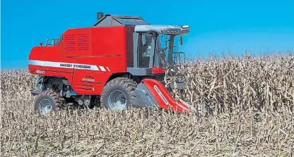  ??  ?? A fondo. En los campos cercanos a Marcos Juárez (Córdoba) se lograron rindes de 15.000 kilos por hectárea.