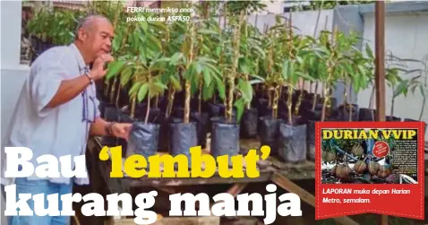  ??  ?? FERRI memeriksa anak pokok durian ASFA50. LAPORAN muka depan Harian Metro, semalam.