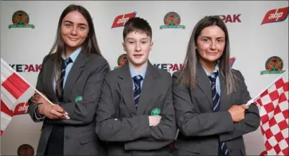  ??  ?? Amy Walsh, David Kenny and Rachel Breen from Boherbue Comprehens­ive are flying the Rebel flag in the 2020 Irish Angus Schools Competitio­n.