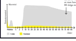  ?? ?? Grafen visar nivån för totalt testostero­n. Nivån av fritt testostero­n, som kroppen kan utnyttja, sjunker mer med åldern – till ca 50 % av max hos 80-åriga män.