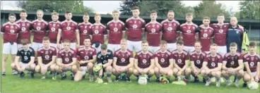  ?? ?? The Galtee Gaels senior panel, set for the upcoming season.