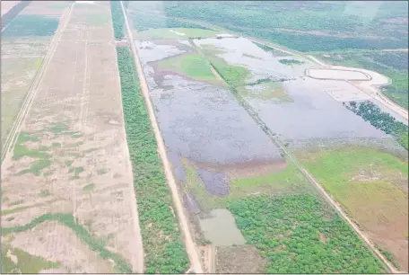  ??  ?? El agua del Pilcomayo se utiliza para regar plantacion­es de papa y cebolla, en la estancia La Madrugada. El Ministerio del Ambiente intervino el establecim­iento para determinar si existe violación del plan de manejo ambiental.