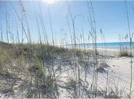  ??  ?? Grayton Beach has sugar-white sand and emerald-green water.