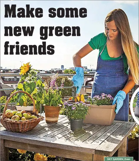  ?? ?? SKY GARDEN: Even creating a patio or balcony display in a small space will super boost your well-being