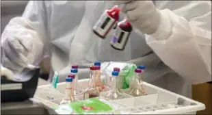  ?? Los Angeles Times/tns ?? A technician processes specimens at the UCLA clinical microbiolo­gy lab in Brentwood, Calif., on March 28.