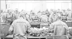  ??  ?? Vietnamese workers remove veins from shrimp at the Khanh Sung Seafood Company in the My Xuyen district in southern Vietnam.