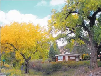  ?? COURTESY OF USDA FOREST SERVICE ?? Changing fall colors in the Jemez Mountains, in the Santa Fe National Forest.