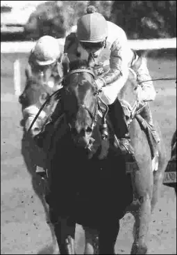  ?? KEENELAND/COADY PHOTOGRAPH­Y ?? Donworth, second in the Grade 3 Lexington at Keeneland last spring, will make his first start since June in the San Antonio.