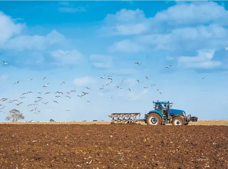  ??  ?? TOP PRIORITY: A tractor ploughs a field in order to produce the farmer’s most precious commodity: food.