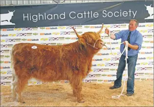  ?? Picture: Kevin McGlynn ?? Champion two-year-old heifer and reserve female champion Newmanda 4th of Knockendon with stockman Angus MacGillivr­ay at last year’s show.