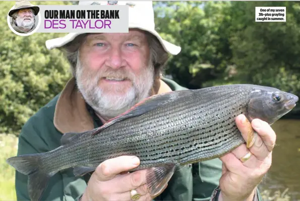  ??  ?? One of my seven 3lb-plus grayling caught in summer.