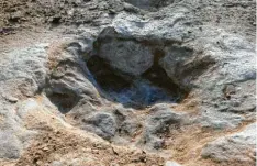  ?? ?? Beeindruck­end: Fußabdruck eines Dinosaurie­rs in einem Flussbett des „Dinosaur Valley State Park“nahe der Stadt Glen Rose im US-Bundesstaa­t Texas.