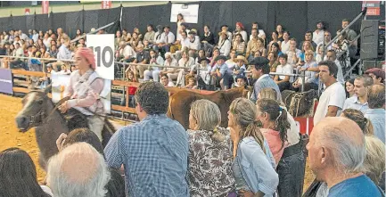  ?? ?? La pista indoor de 4200 m2 del pabellón verde fue el escenario de las actividade­s de las razas equinas